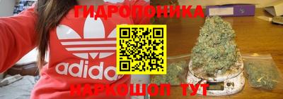 прущие крисы Рязань